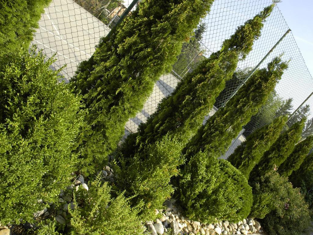 Penzion Fortune Dunajská Streda Dış mekan fotoğraf